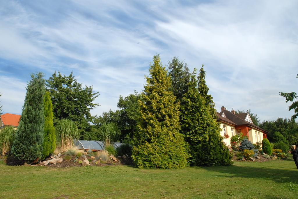Ubytovani Vila Sobotka Exterior foto